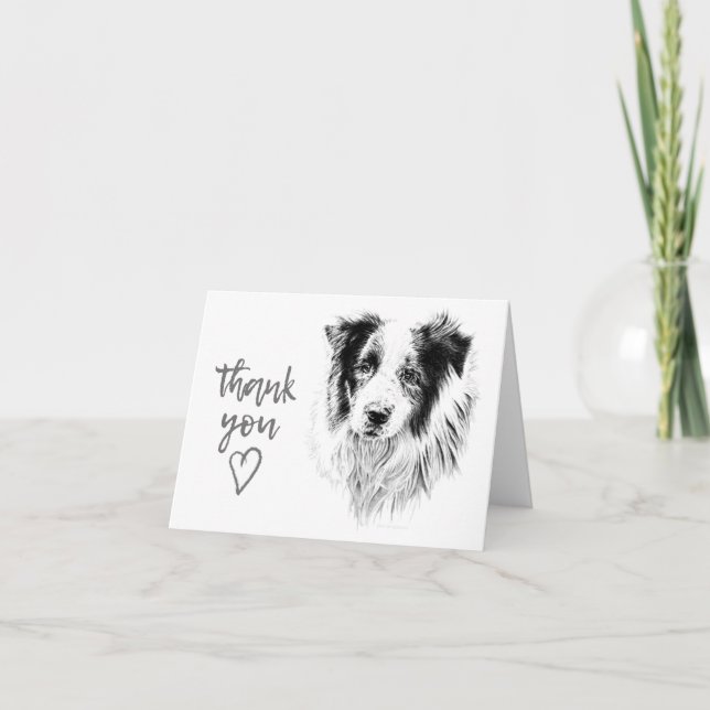 Cartão De Agradecimento Border Collie Thank You Card (Frente)