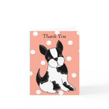 Boston Terrier Obrigado