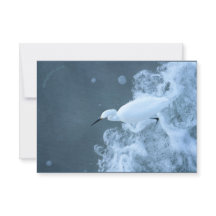 Bovinos Egret/Gulls e Puffin reciclado