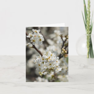 Cartão De Agradecimento Bradford Select Focus Thank You Card