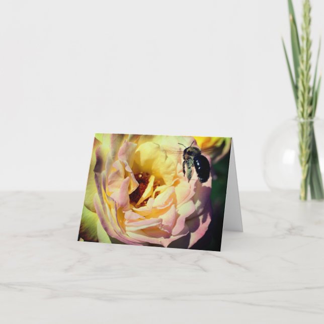 Cartão De Agradecimento Bumble Bee E Placa De Nota De Flor De Rosa (Frente)