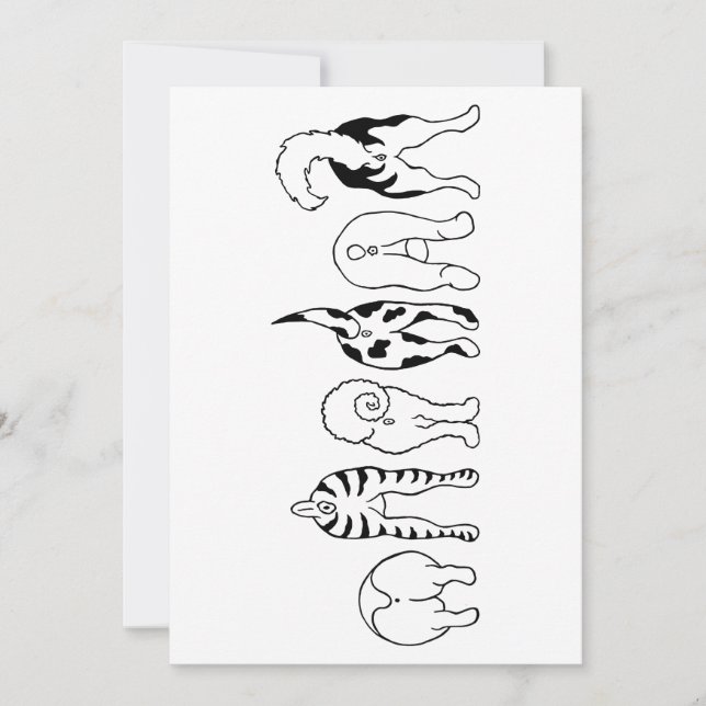 Cartão De Agradecimento Bumbuns de cães (Frente)