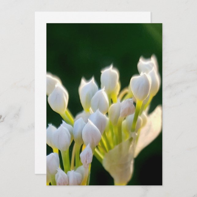 Cartão De Agradecimento Buquê Chives Deux (Frente/Verso)