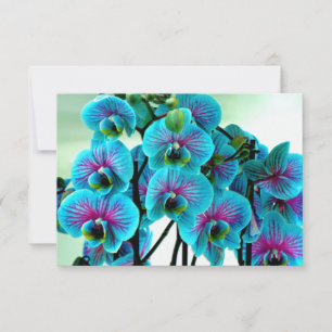 Cartão De Agradecimento Buquê de Flor Orquídeo Azul