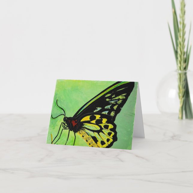 Cartão De Agradecimento Butterfly All Occasion Card (Frente)