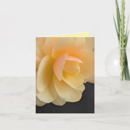 Cartão De Agradecimento Buttery Begonia Note Card