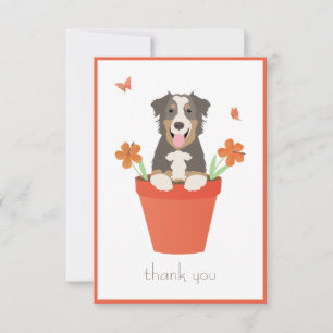 Cartão De Agradecimento Cachorro Australiano Em Pote De Flor