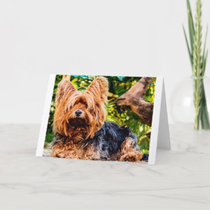 Cartão De Agradecimento Cachorro Cachorro Pet Yorkie Paz Amor Arte Diverti
