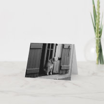 Cachorro na placa de anotação da porta