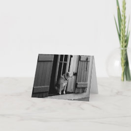 Cartão De Agradecimento Cachorro na placa de anotação da porta