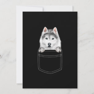 Cartão De Agradecimento Cachorro Siberiano Husky Em Bolso  Presente Engra