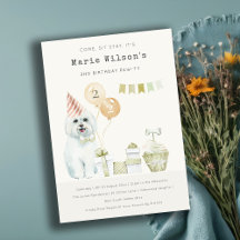 Cachorro Verde Bonito Qualquer Festa de aniversári