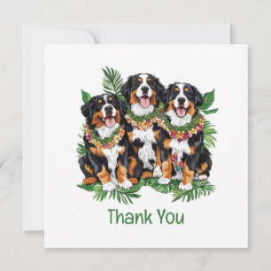 Cartão De Agradecimento Cães Berneses de Montanha Havaianos Obrigado