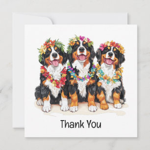 Cartão De Agradecimento Cães Berneses de Montanha Havaianos Obrigado