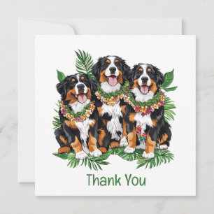 Cartão De Agradecimento Cães Berneses de Montanha Havaianos Obrigado