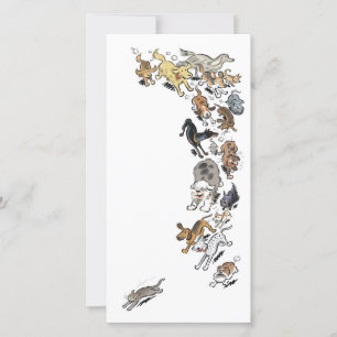 Cartão De Agradecimento Cães perseguindo Cat