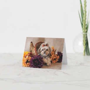 Cartão De Agradecimento Cali Lollipop Giving Thanks Blank Notecard