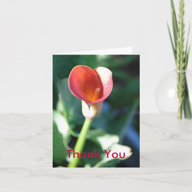 Cartão De Agradecimento Calla Lilly, Thank You (Frente)