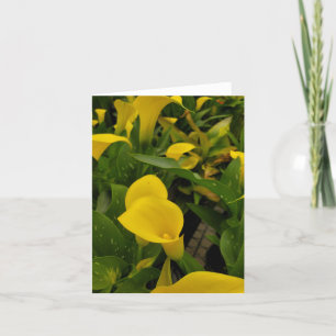 Cartão De Agradecimento Calla Lily