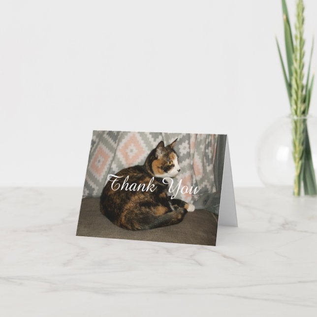 Cartão De Agradecimento Callie Cat no Sofá (Frente)