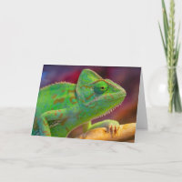 Camaleão Verde