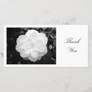 Cartão De Agradecimento Camelia branco - obrigado