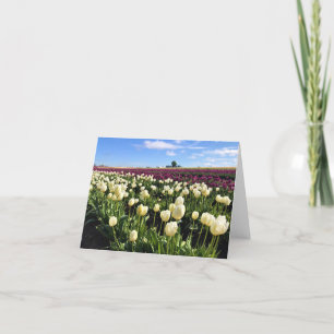 Cartão De Agradecimento Campo de Tulipas Branco e Roxo com Balão de Ar Que