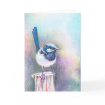 Cantando no Novo Dia -