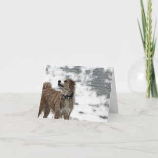 Cartão De Agradecimento Cão