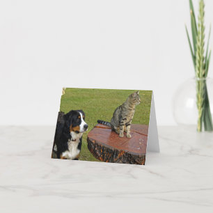 Cartão De Agradecimento cão de montanha bernês com gato