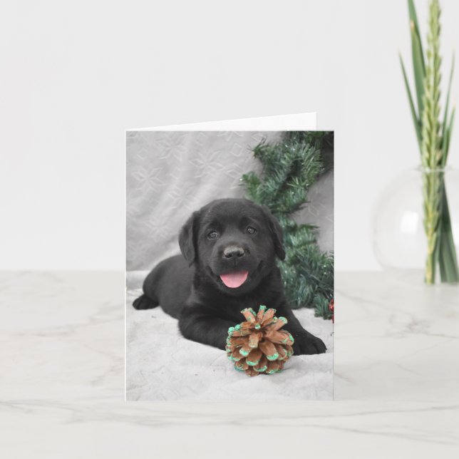 Cartão De Agradecimento Cãozinho preto de Natal Labrador (Frente)