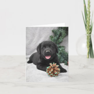 Cartão De Agradecimento Cãozinho preto de Natal Labrador