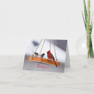 Cartão De Agradecimento Cardinal and Juncos Thank You Card
