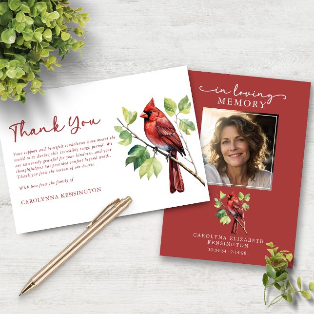 Cartão De Agradecimento Cardinal Bird Funeral Foto do Memorial Obrigado (Cardinal Bird Funeral Memorial Photo Thank You Card)