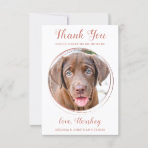Cartão De Agradecimento Casamento de Pet Personalizado de Foto de Cachorro