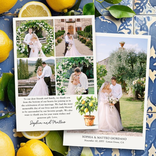 Cartão De Agradecimento Casamento Fotográfico Lemon Grove 5 (Wedding Photo Thank You Cards from the Lemon Grove Wedding Collection )