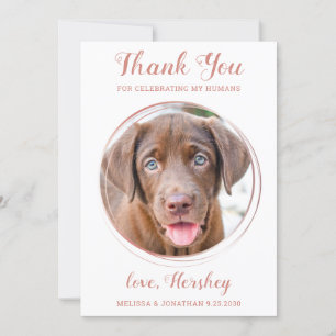 Cartão De Agradecimento Casamento Personalizado De Pet Fotografia De Cacho