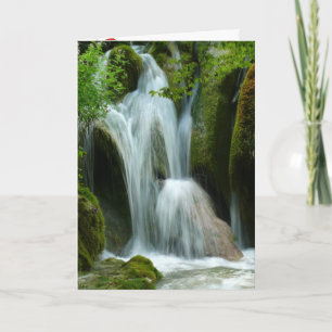 Cartão De Agradecimento Cascata Flor de Orquídea Paz Amor Destino