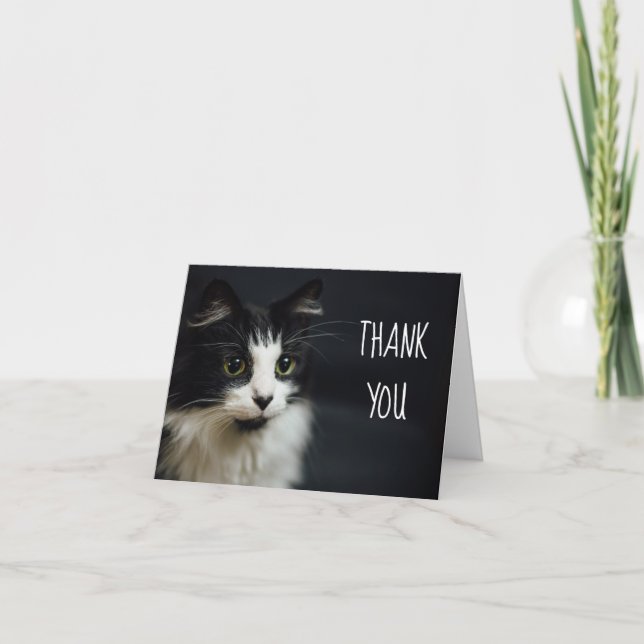 Cartão De Agradecimento Cat, Gatinho, Obrigado Pequeno Notecard (Frente)