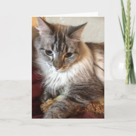 Cartão De Agradecimento Cat greeting card