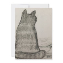 Cat Observando Sobre Nós