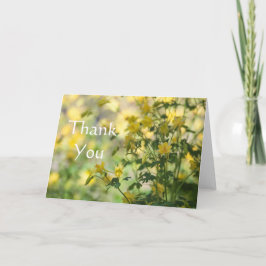 Cartão De Agradecimento Cats-Claw Obrigado