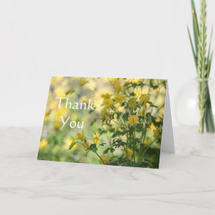 Cartão De Agradecimento Cats-Claw Thank you