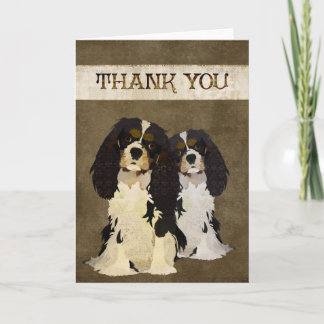 Cartão De Agradecimento Cavalier King Dogs Thank You Card