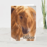 Cavalo Muito Obrigado Sobrevive ao Oeste