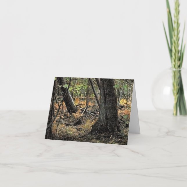 Cartão De Agradecimento Cena da floresta do outono (Frente)