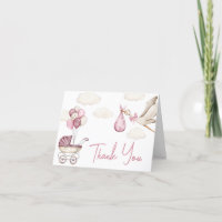 Chá de fraldas de Entrega Especial do Girl Storck