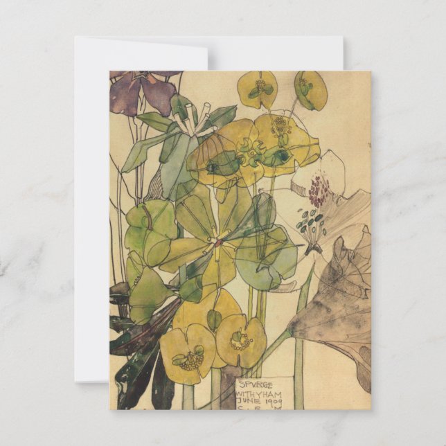 Cartão De Agradecimento Charles Rennie Mackintosh - Spurge Com Yham 1909 (Frente)