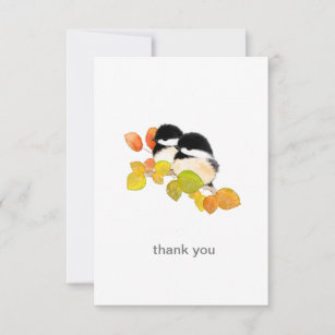 Cartão De Agradecimento Chickadee Bird Todas Ocasião Obrigado Notecards