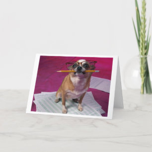 Cartão De Agradecimento Chihuahua Thank You Card